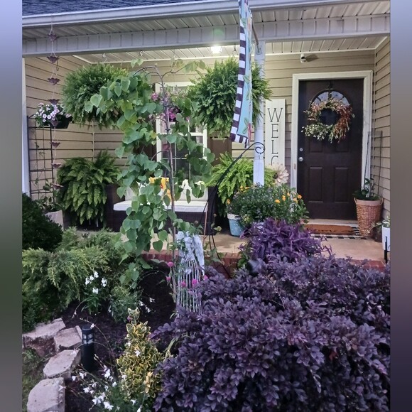kathymccurry754